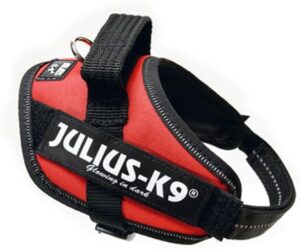 Harnais Julius K9 IDC Power